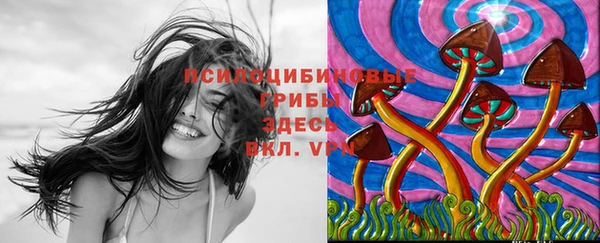 мет Армянск