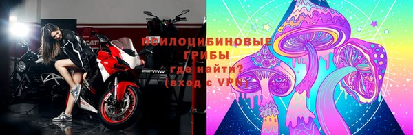 эйфоретик Аркадак