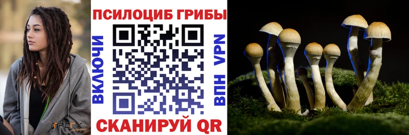 наркота  Устюжна  Галлюциногенные грибы ЛСД 